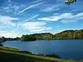 Lac de Montréjeau avec l'île, c'est un lieu d'abris et de reproduction pour les oiseaux d'eau