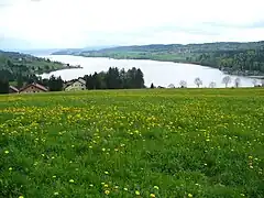 Lac de Saint-Point.