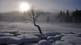 Le lac en hiver.