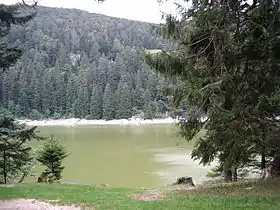 Lac vert.