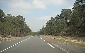 Route D6 de Lacanau-Océan.