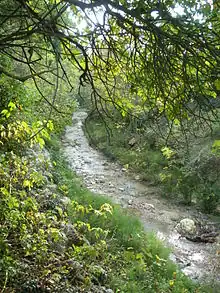 La Combe à Lafare.