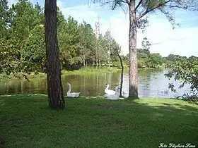 Formoso do Araguaia