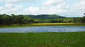 Inhuma
