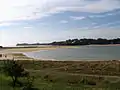 Le poulier de l'estuaire de la Laïta (en arrière-plan, Le Pouldu à Clohars-Carnoët).