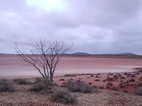 Image illustrative de l’article Lac Gairdner