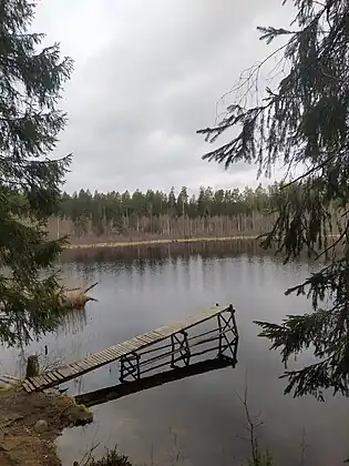 Dans le Нарачанскі (нацыянальны парк) (be) du voblast de Minsk. Mai 2022.