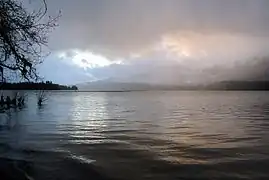 Lac Quinault et forêt humide dans la brume