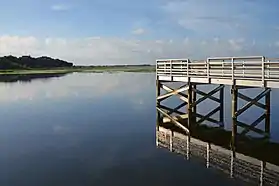 Image illustrative de l’article Lac Tohopekaliga