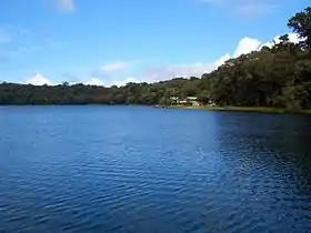 Image illustrative de l’article Lac Barrine