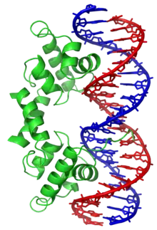 Motif structurel