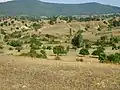 Paysage aux alentours de Vitolichté.