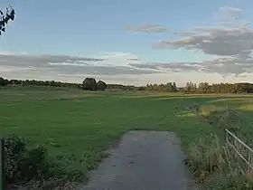 Gokels
