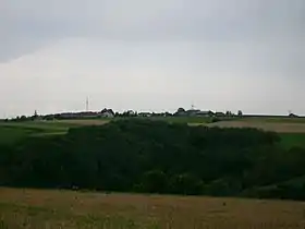 Landscheid