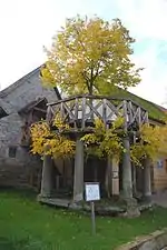 Tilleul de danse à Langenstadt (de).