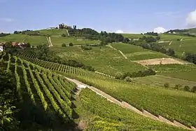Image illustrative de l’article Langhe