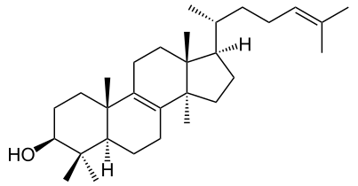 Lanostérol.
