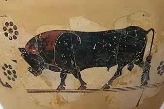 Taureau sur une grande poterie corinthienne, vers -600.