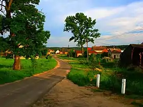 Laski (Czerwieńsk)
