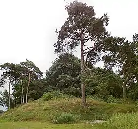 Laskowo (Chodzież)