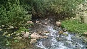 Lazrou