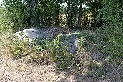 Menhir du Champ du Rocher