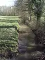 Le Bréon entre la Houssaye-en-Brie et Marles-en-Brie.