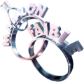 Logo de l'émission (version D8, 2014-2015)