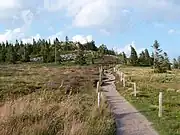 Réserve naturelle du Tanet-Gazon du Faing.