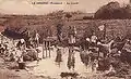 Le Drennec : femmes autour du lavoir (milieu du XXe&nbsp;siècle ou avant).