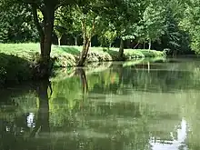 Marais mouillé: Conche à La Garette.