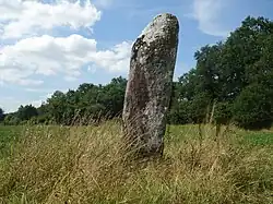 Le menhir des Hautes Landes.