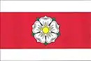 Drapeau de Ledenice