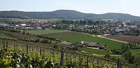 Lehrensteinsfeld