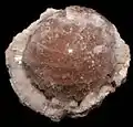 Leifite, Mont Saint-Hilaire, 4 x 3.5 x 2.75&nbsp;cm