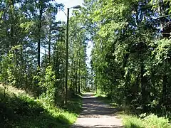 Sentier.
