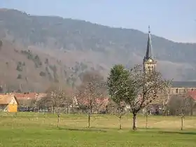 Lepuix