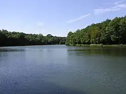 Image illustrative de l’article Forêt de Versailles