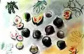 Les figues offertes