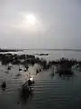 Les prés salés sous une mer à 100 de coefficient.