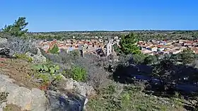 Leucate