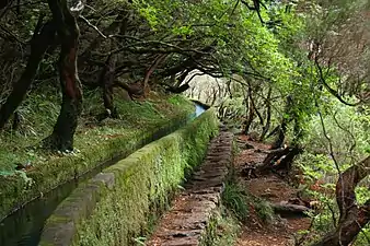 Levada des «&nbsp;25 sources&nbsp;»