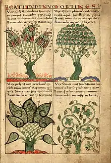 Arbres symbolisant les Béatitudes : olivier, platane, térébinthe, vigne (fo 125)