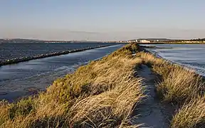 L'étang de Thau sur la gauche, au nord, et un ancien marais salant sur la droite