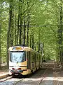 Une PCC 7900 sur la ligne 44, probablement aux alentours des années 2000-2002.