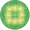 Limewire