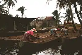 Limón (Colón)