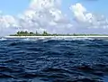 Rivage de l'Atoll Rose