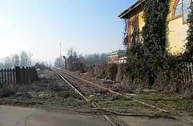 Cunico
