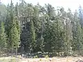Kajamonvuori (fi)